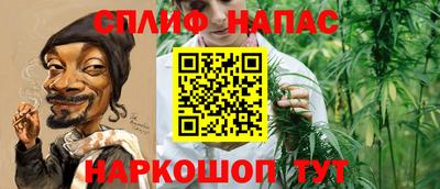 прущие грибы Тара