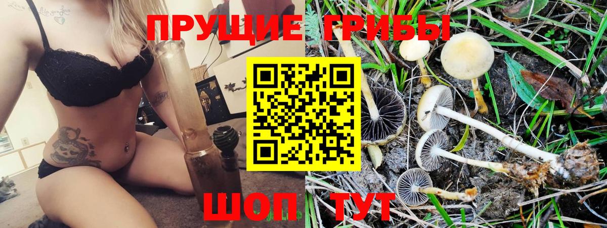 Мценск  Псилоцибиновые грибы Psilocybe  Вход с VPN 